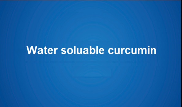 Curcumina soluble en agua